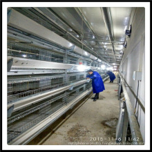 Poultry Equipment for Hot Sale